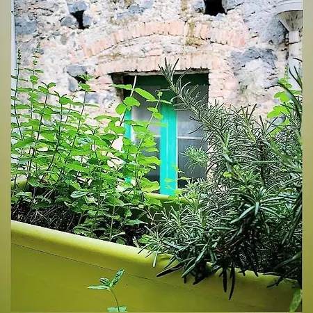 Casa Vacanze Miriam Randazzo Exterior photo